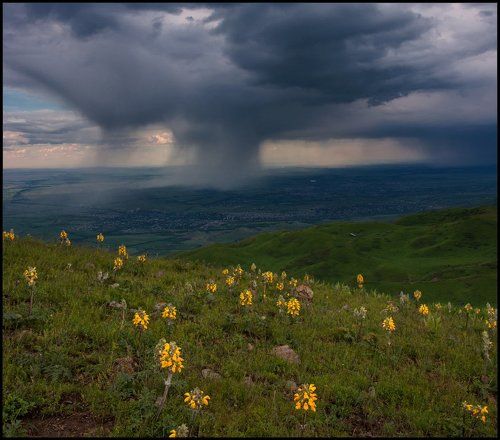 Холодные весенние дожди