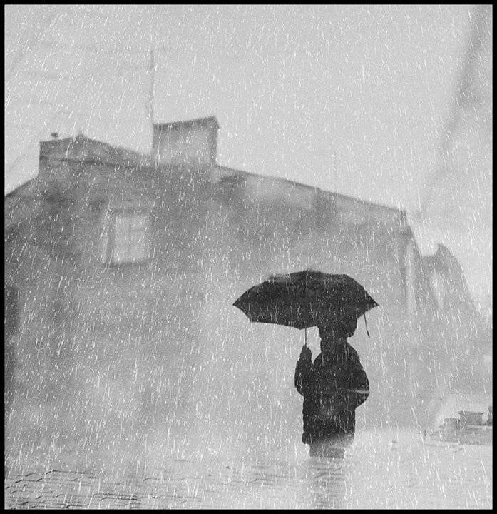 , Krzysztof Trojanowski