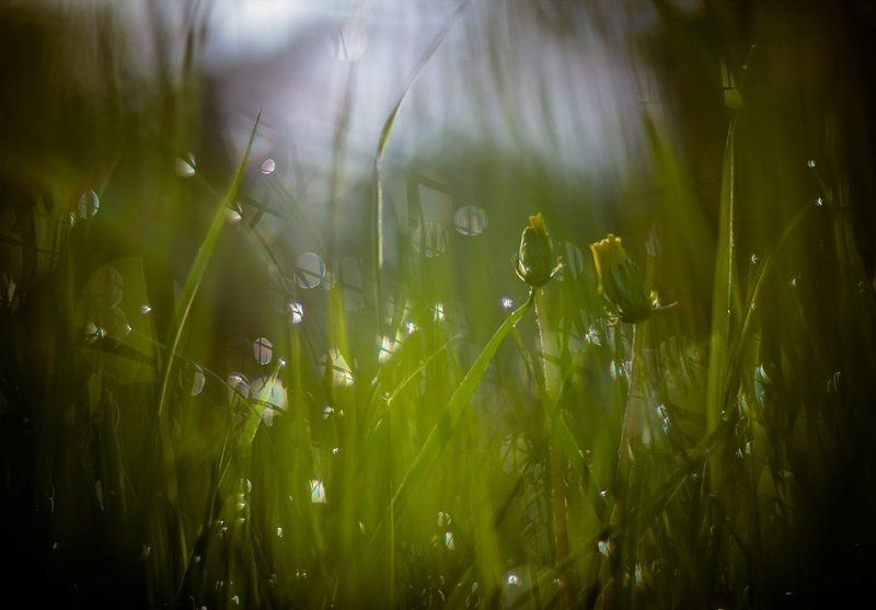 Он и она... фото превью