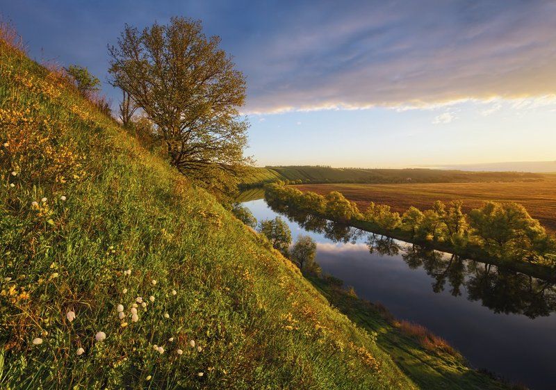 *** фото превью