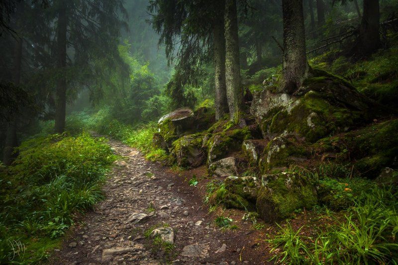 пейзаж Дорога домой фото превью