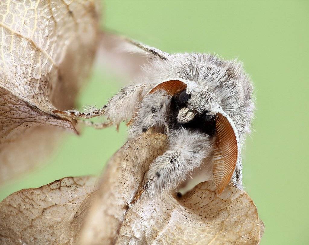 , Сергей Таланов