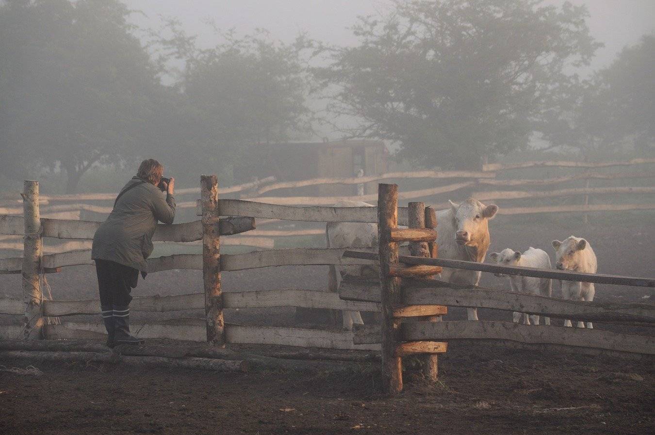 , Володимир Карчевський