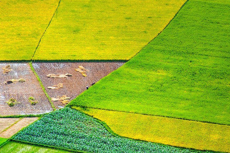 Mầu ấm no. фото превью