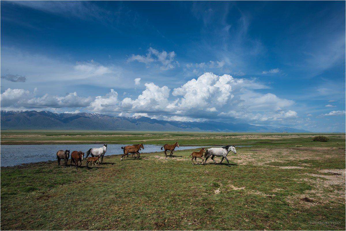 , Кутыгин Эдуард