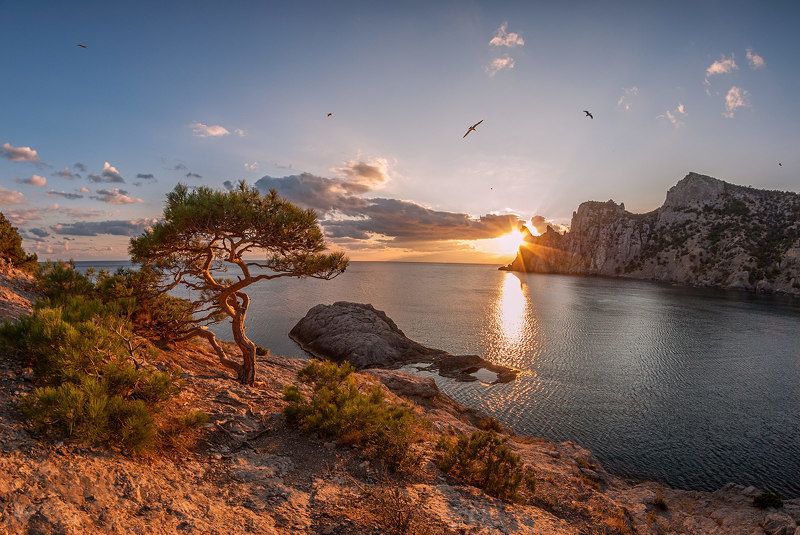 Голубая бухта, Закат, Крым, Новый Свет, Солнце, Чайки Закат у моря. фото превью