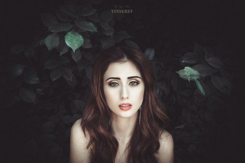 rose