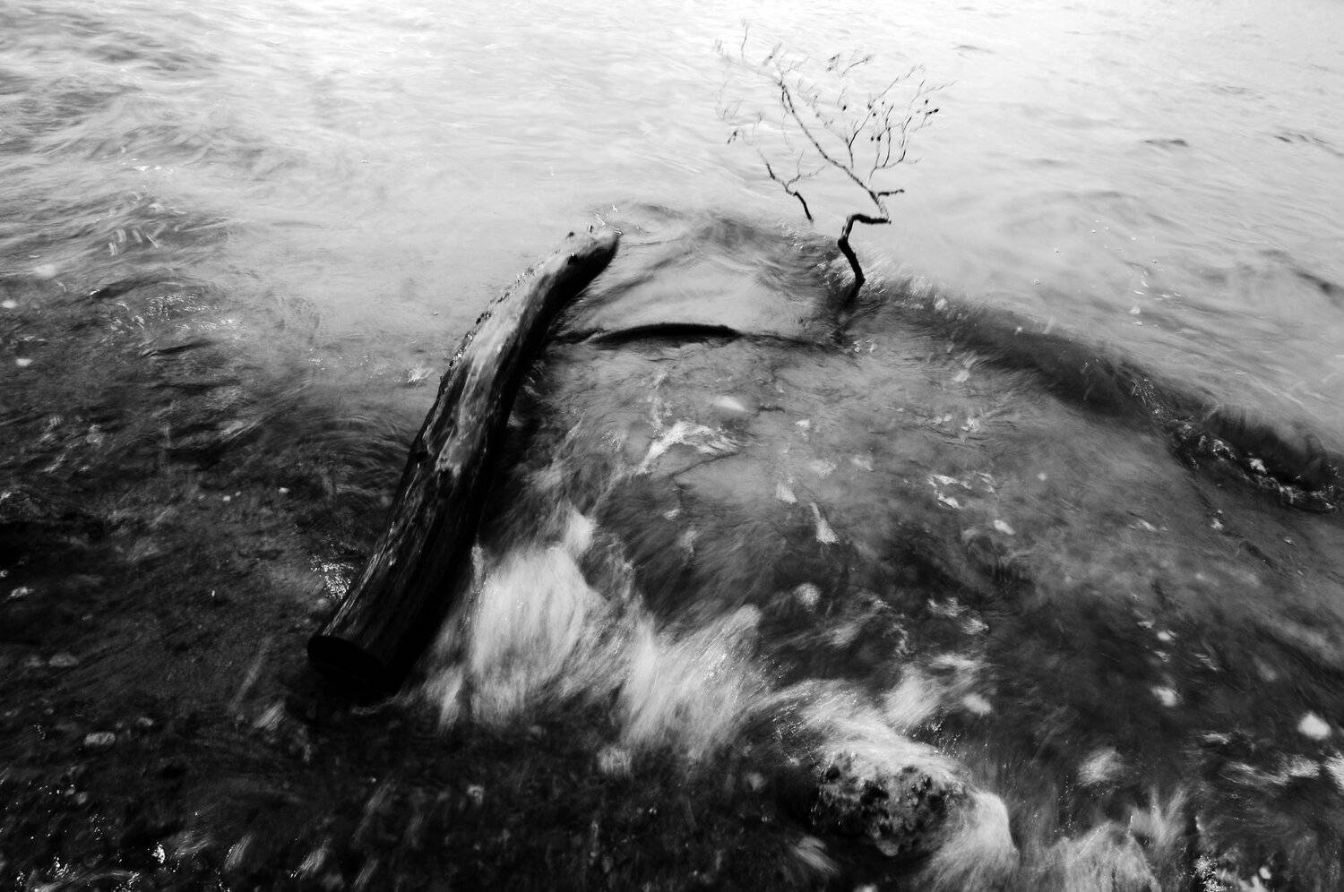 , Харитонова Елена