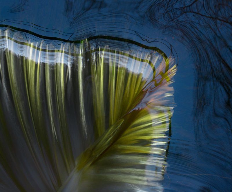 * * * фото превью