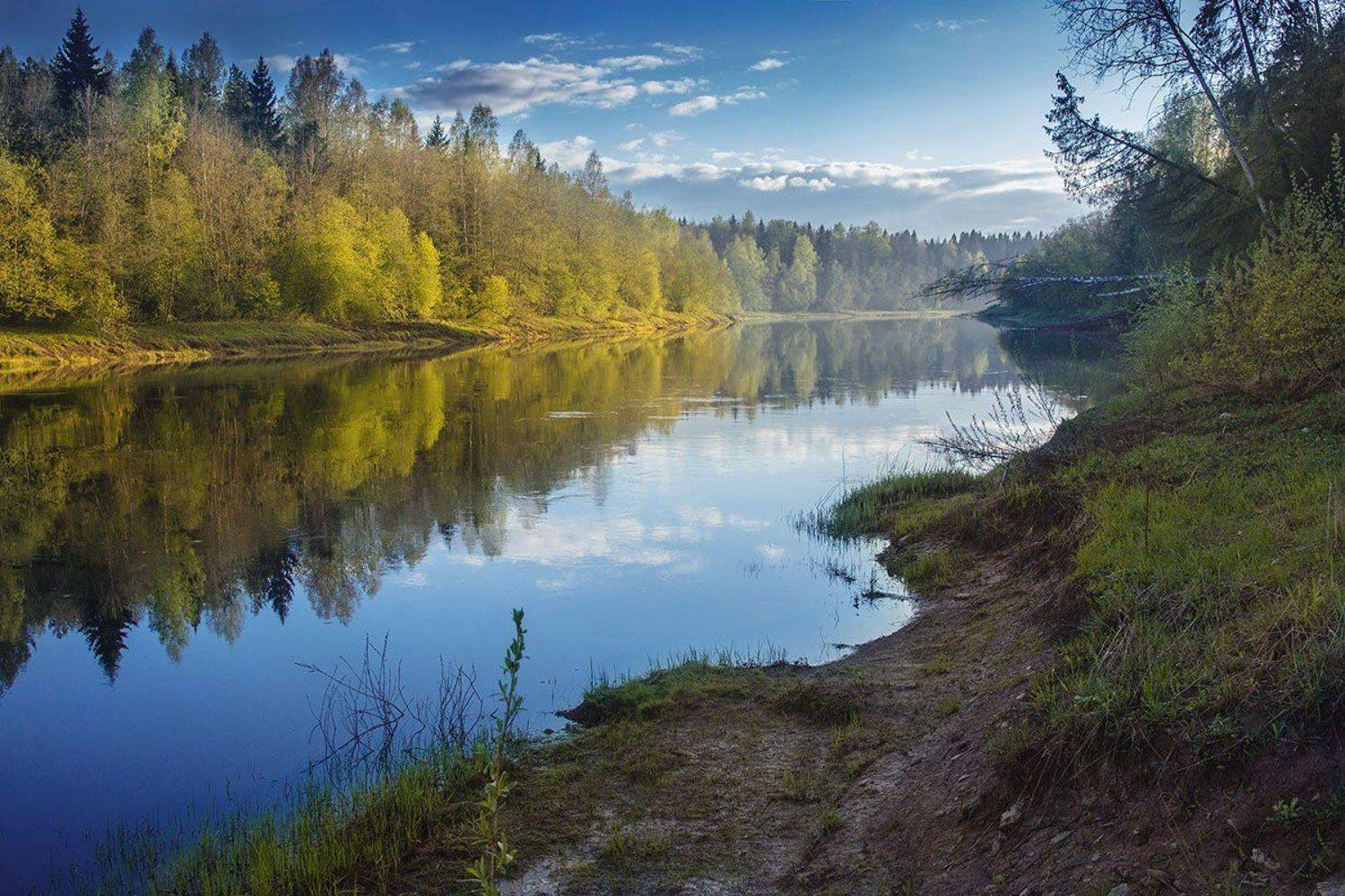Отражение, Река, Россия, Александр Сергеев
