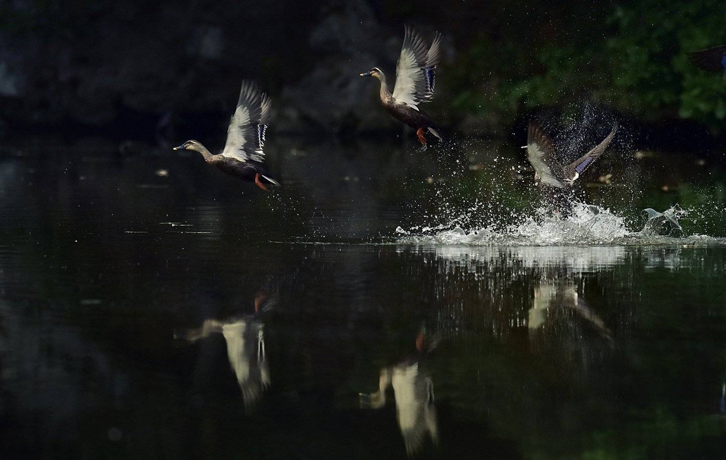 Reflect, KIM SUK EUN