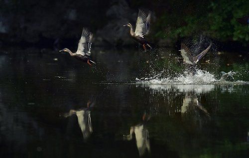Rhythmic reflect