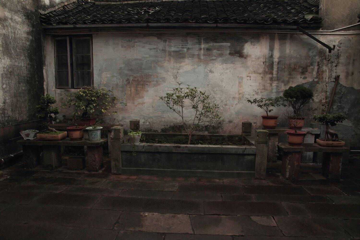 , Ekaterina Eicher (Velichko)