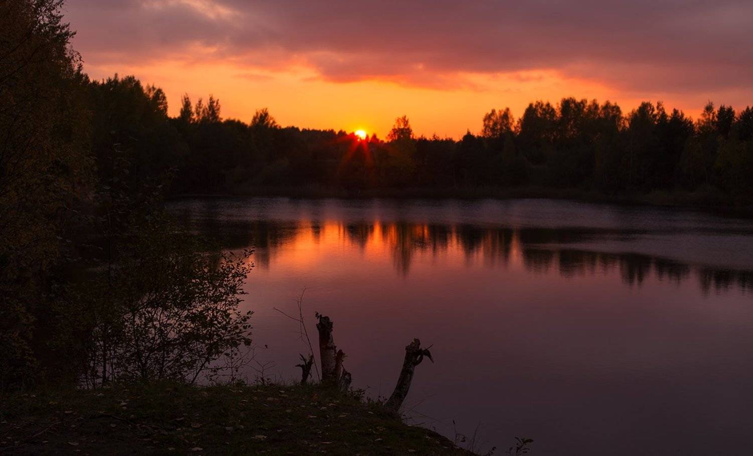 , Анна Кудрявцева