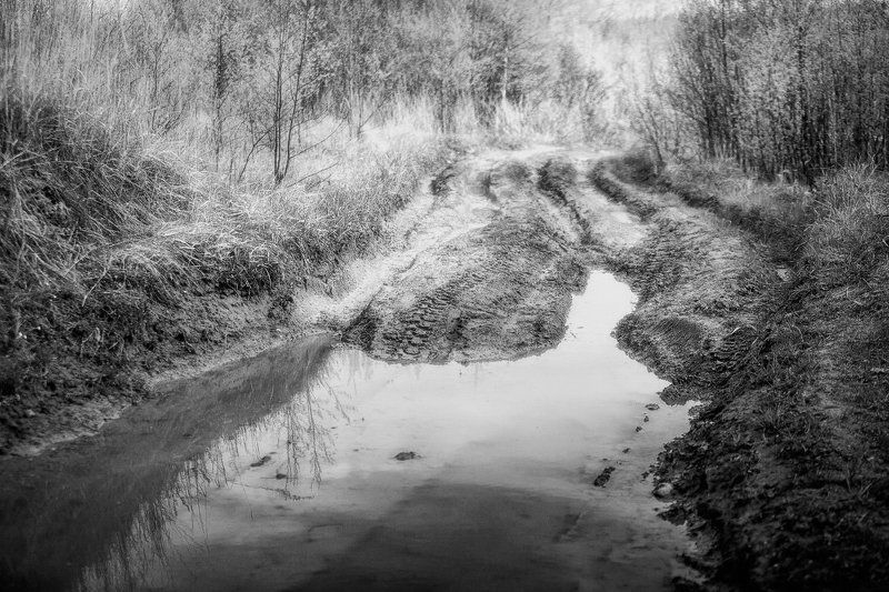 Карьер песок вода трава лес Карьер фото превью
