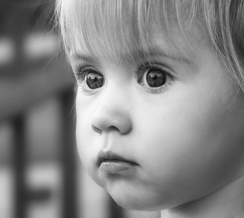 Как прекрасен этот мир... фото превью