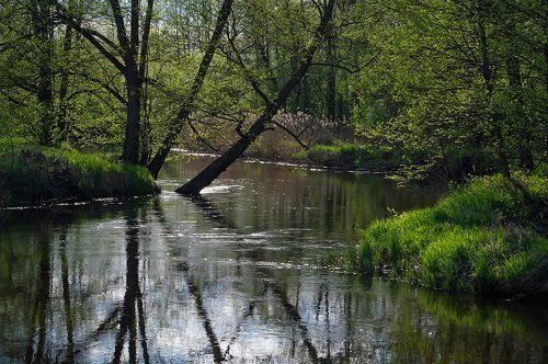 Pro магию Мещёрских рек...
