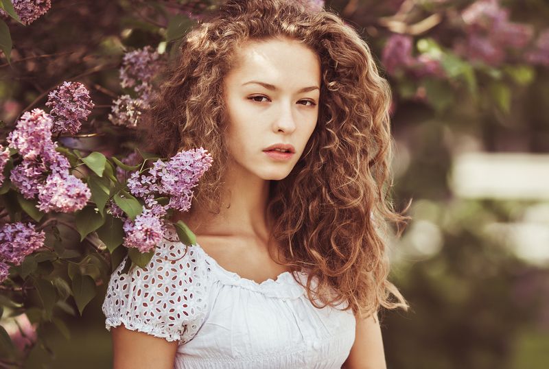 Сирень фото превью