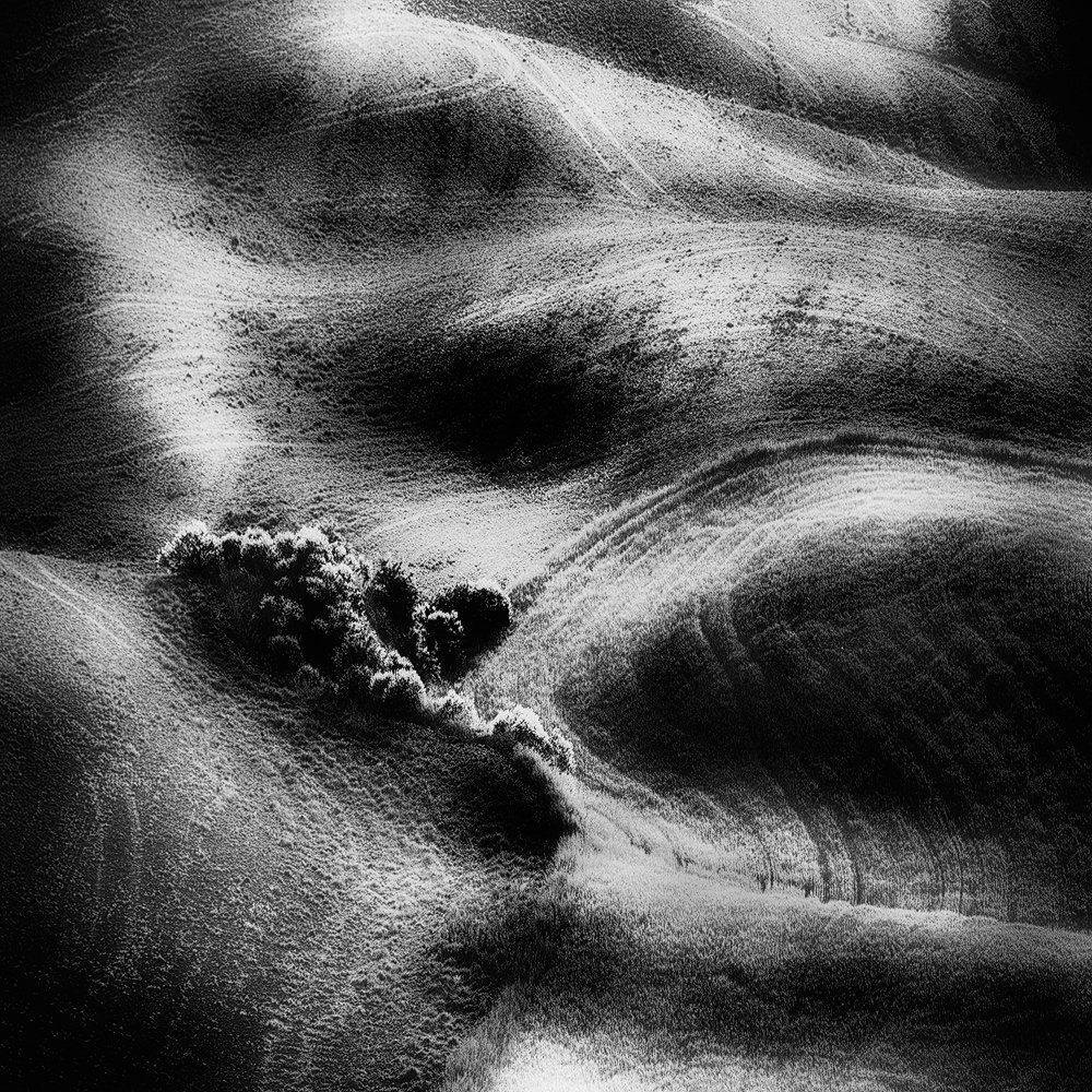 , Bogdan Panait