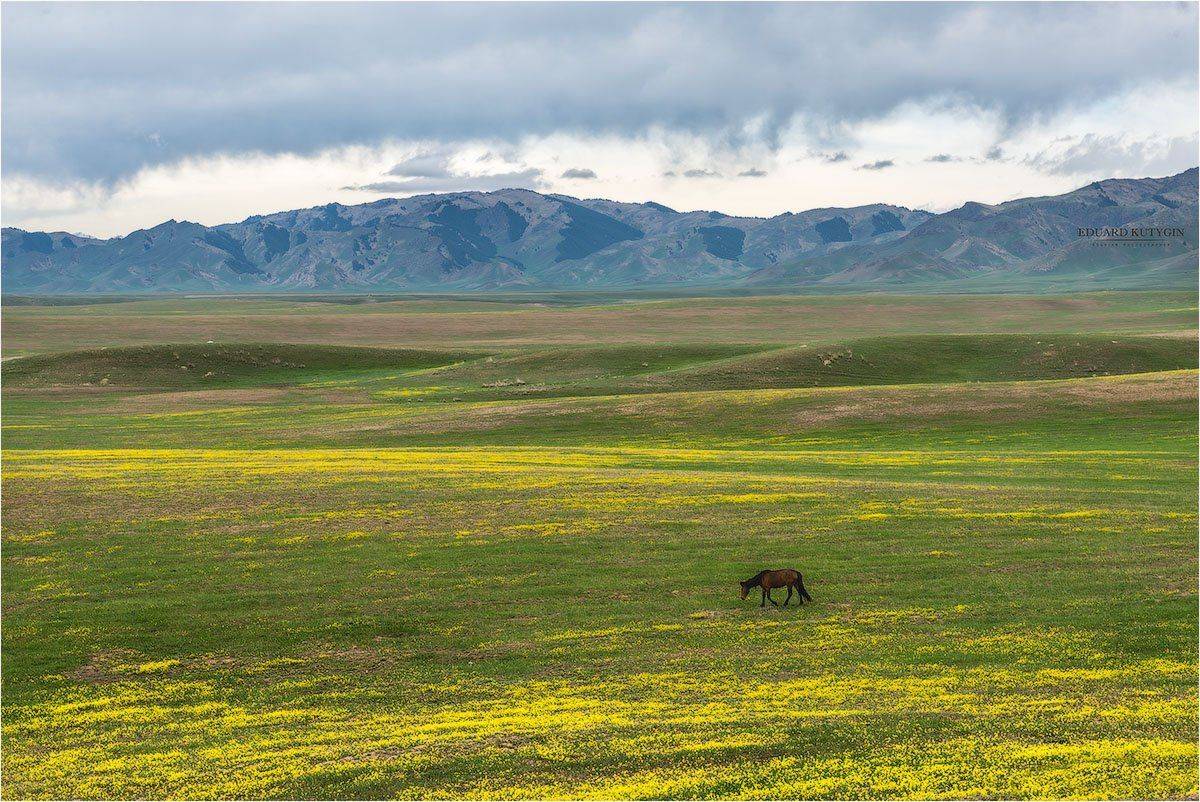 , Кутыгин Эдуард