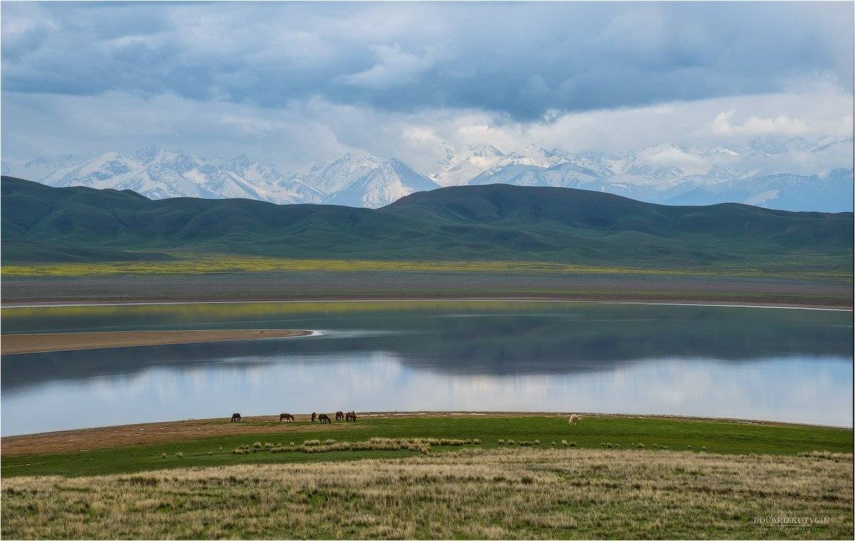 Алматинская область, Алматы, Весна, Горы, Казахстан, Кони, Конь, Ледник, Лето, Лошади, Лошадь, Озеро, Стадо, Тузколь, Тянь-шань, Кутыгин Эдуард