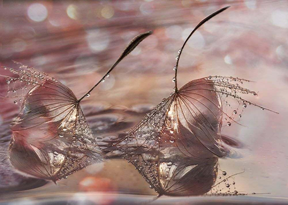 , Таня  Маркова