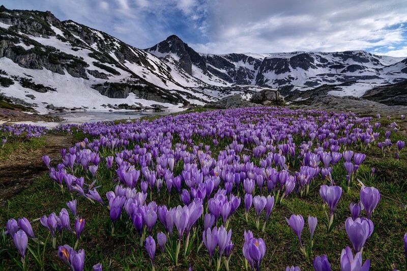 Spring at Ribnoto lake (2184)