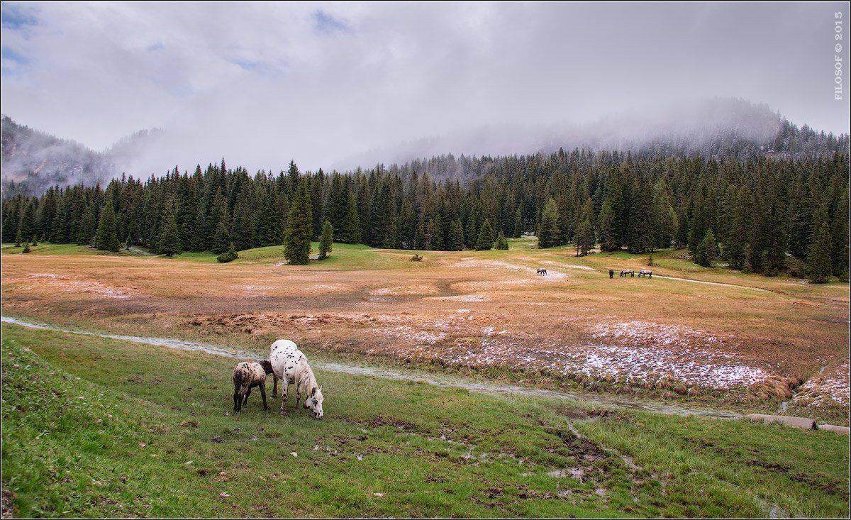 , Геннадий FILOSOF Шатов