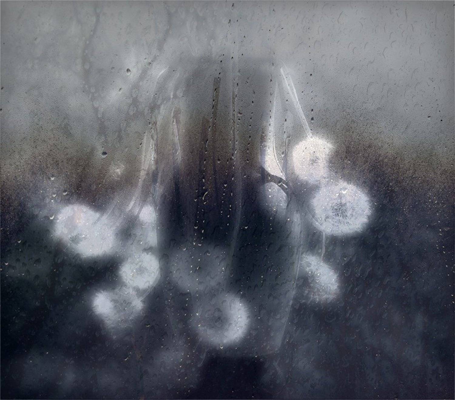 , Анна Кудрявцева