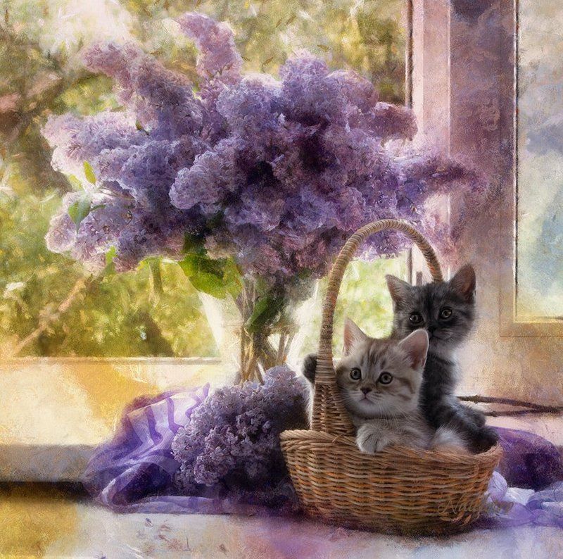 Сиреневый свет... фото превью