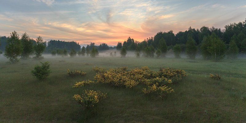Прощальное утро весны фото превью