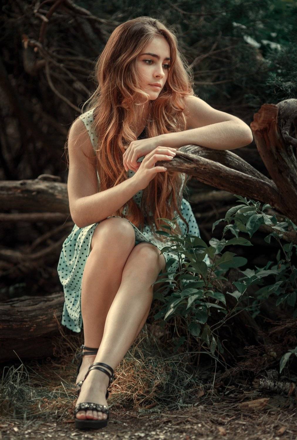 , Владимир Осауленко