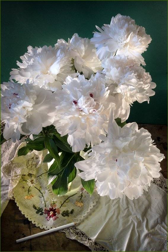 , Лев Сердюков