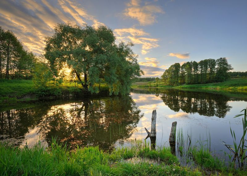 * фото превью