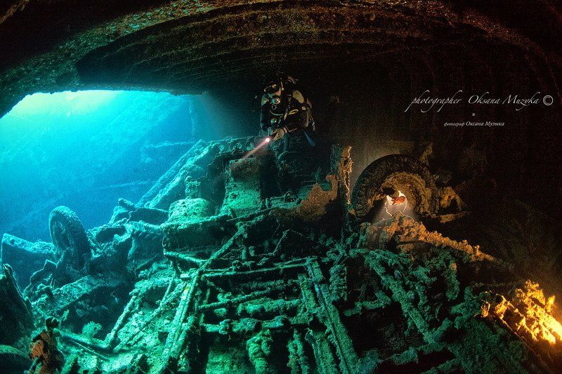 Рэки Красного Моря фото превью