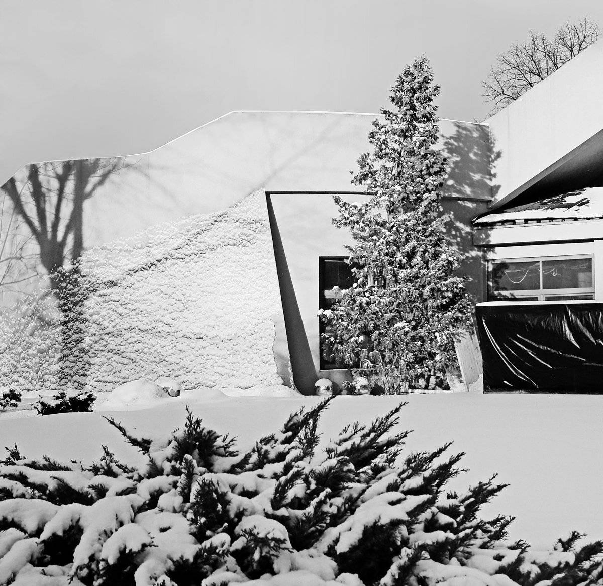 , Елена Лаврова