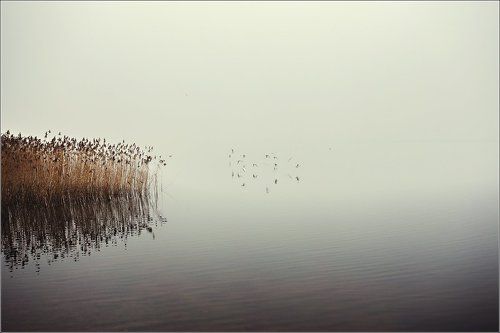 Здесь и сейчас