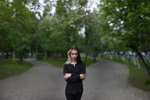 Into the woods