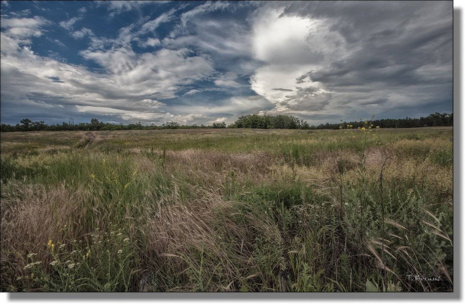 трава, лето, Татьяна Корнус