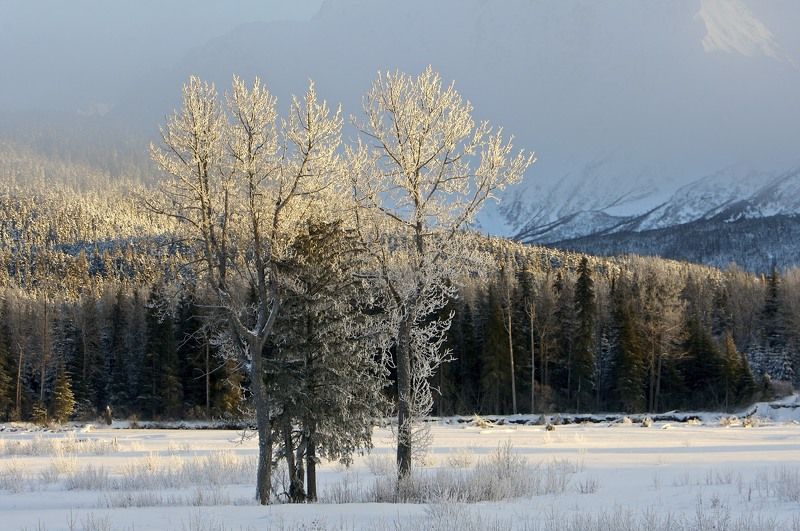 Аляска. фото превью