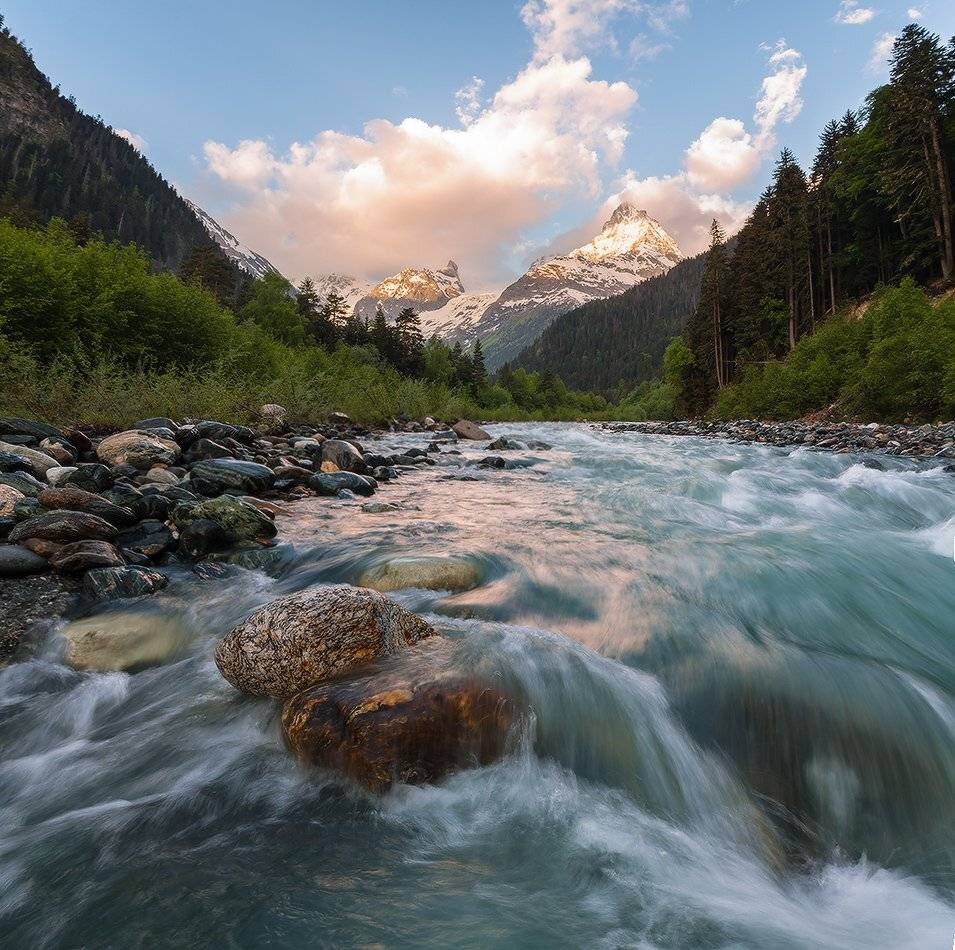 , Николай Мысливцев