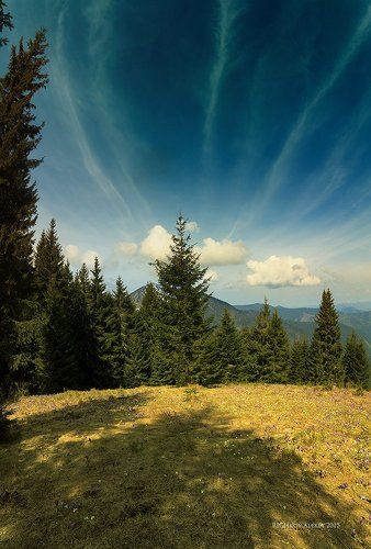 Карпатская Свето-Тень