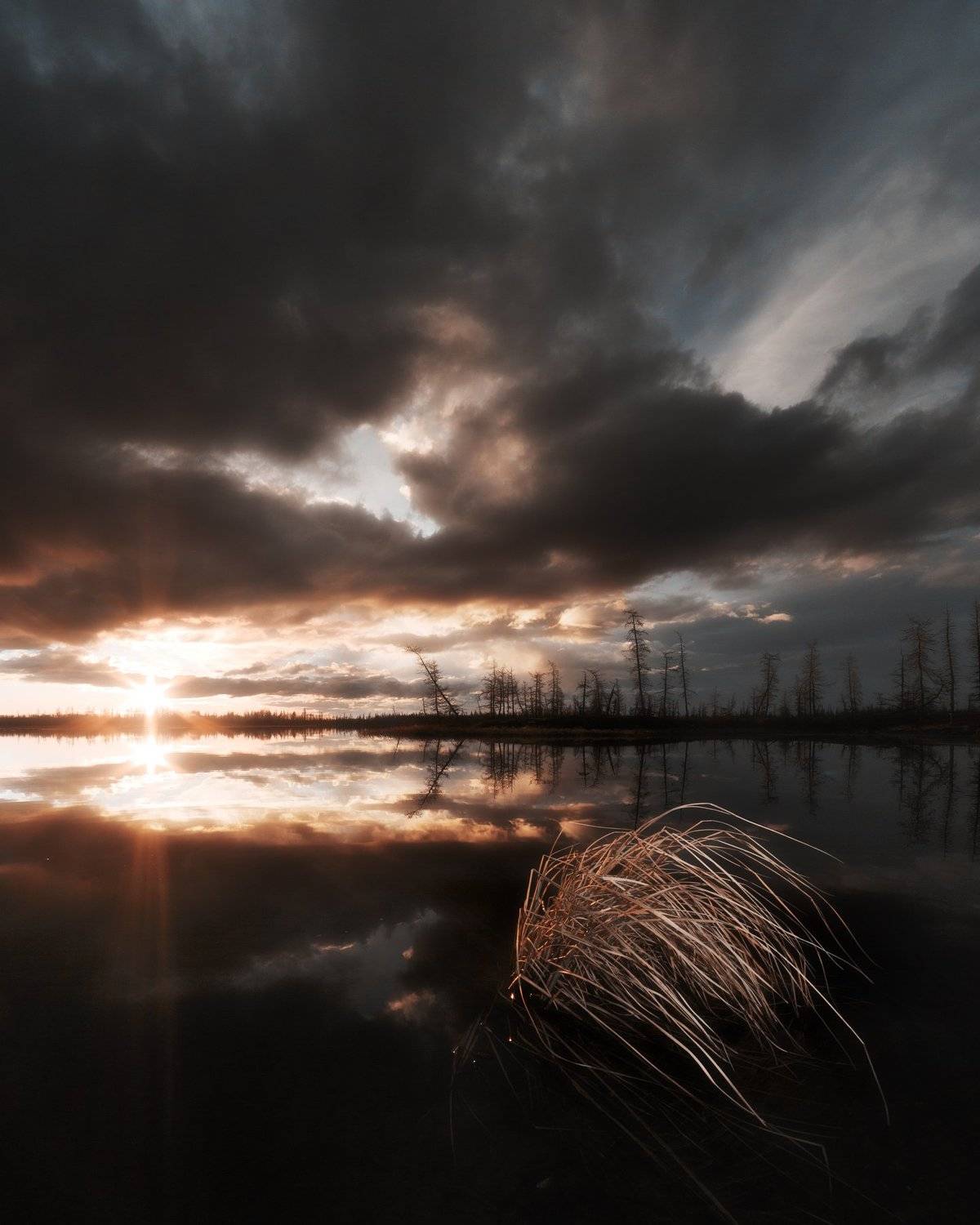 новыйуренгой, уренгой, лесотундра, тундра, ямал, янао, сибирь, пейзаж, закат, камильнуреев, камиль нуреев,landscape, Камиль Нуреев