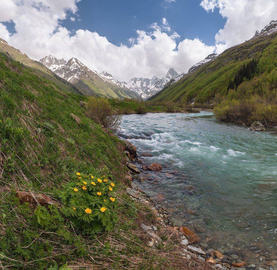 , Николай Мысливцев