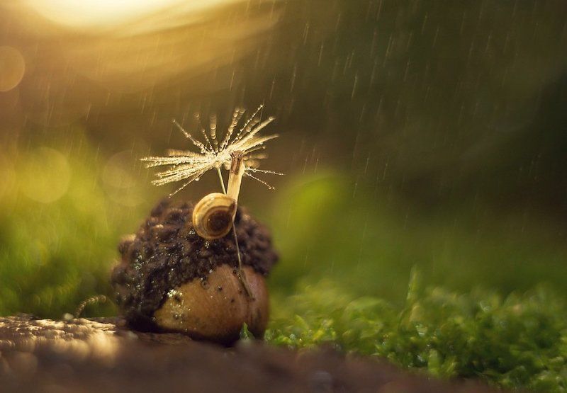 Под  зонтом фото превью