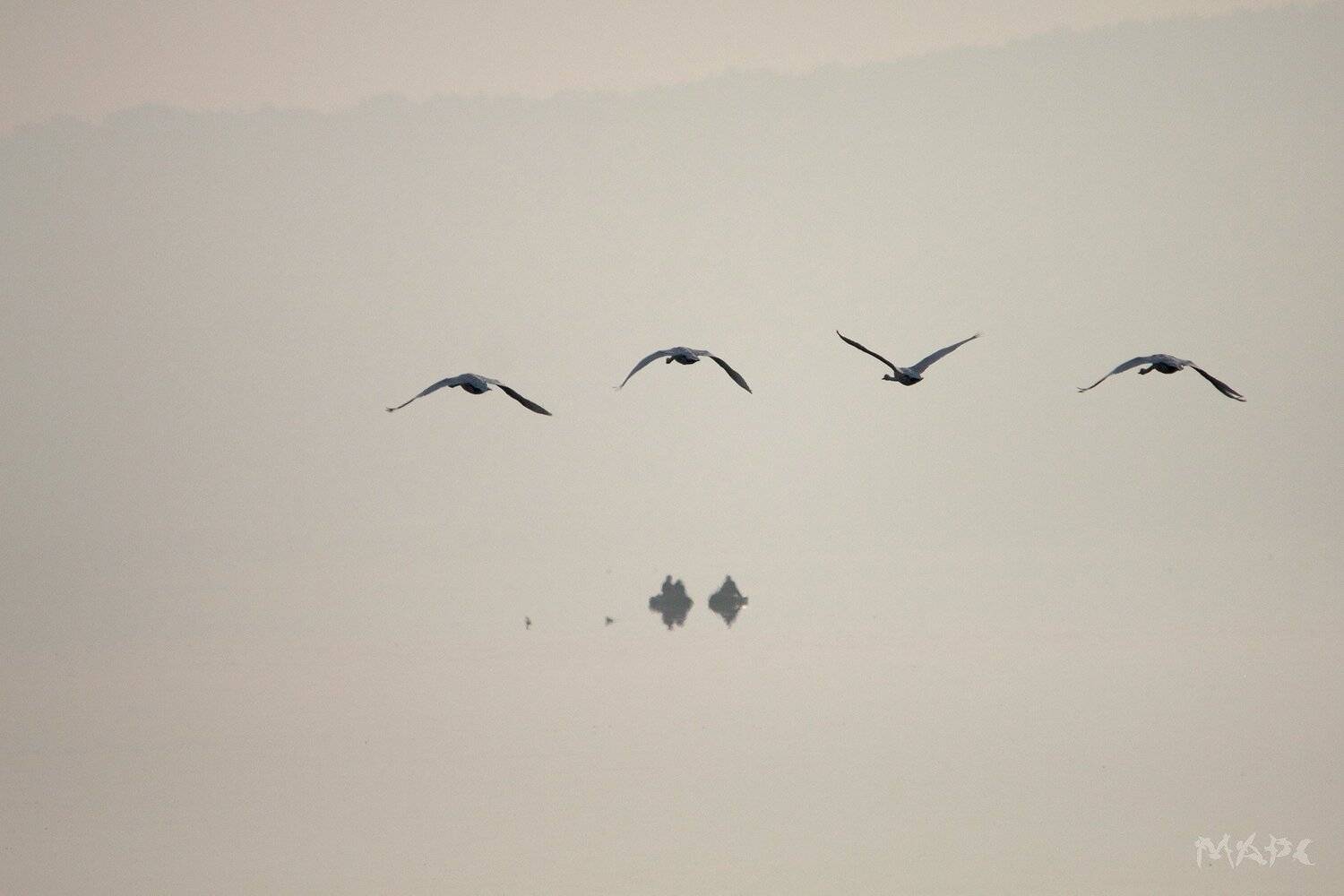 , Шангареев Марс