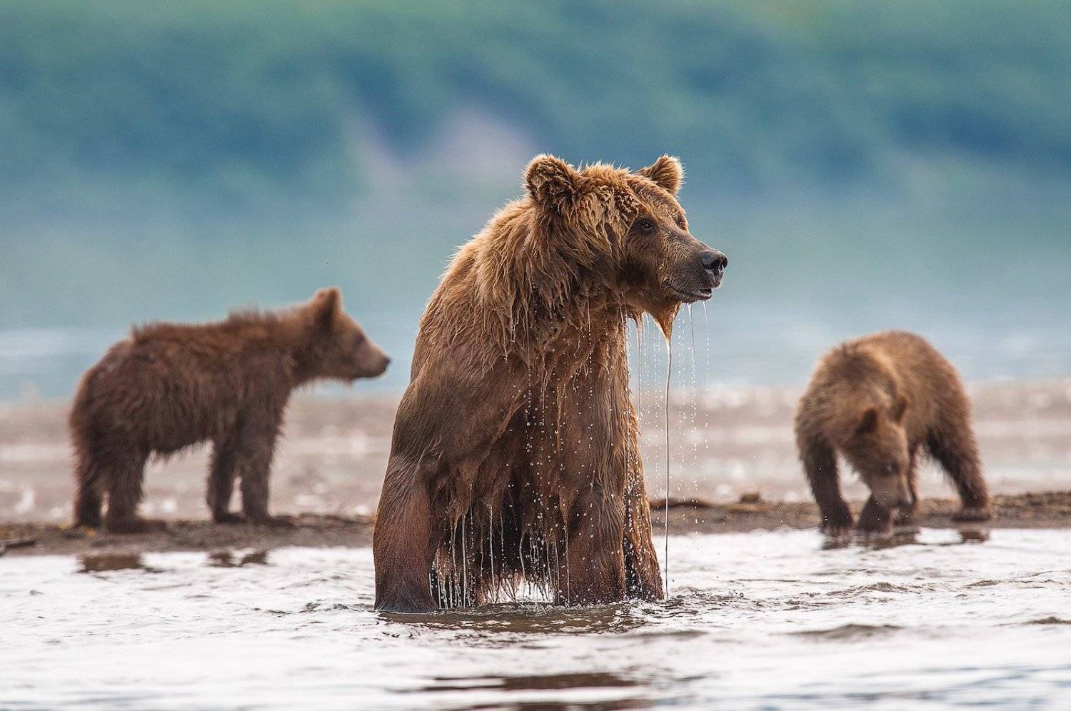 , Сергей Иванов