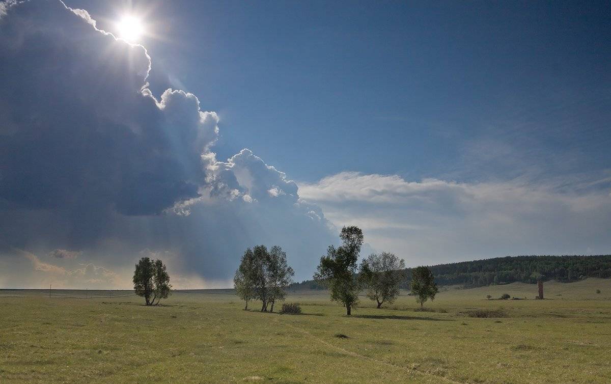 , Николай Морский