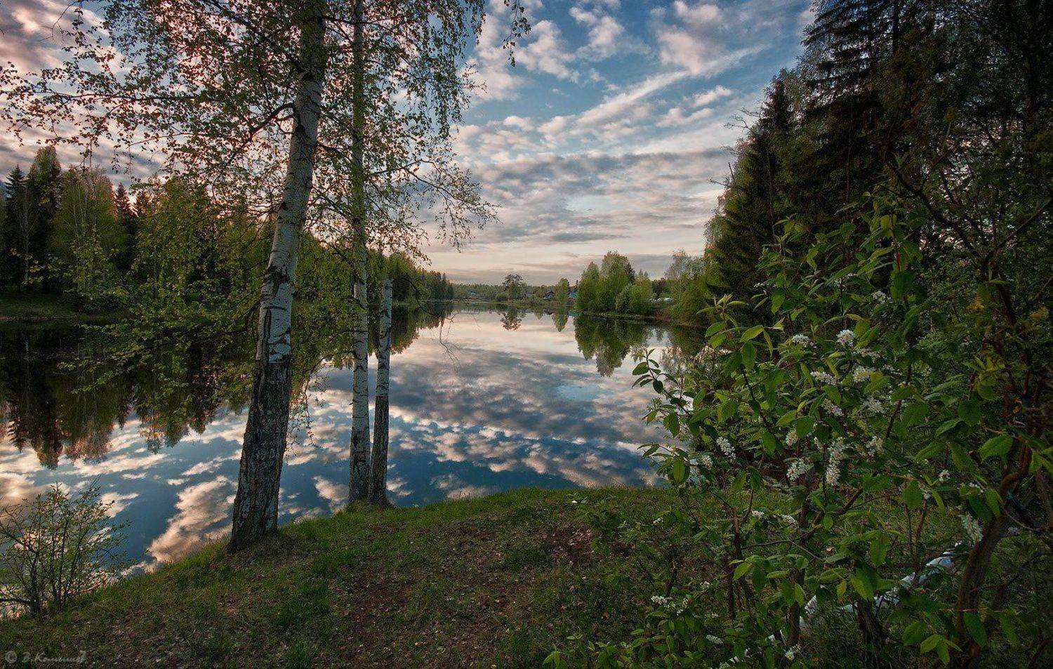 Весна, Вечер, Лес, Природа, Пруд, Владимир Комышев