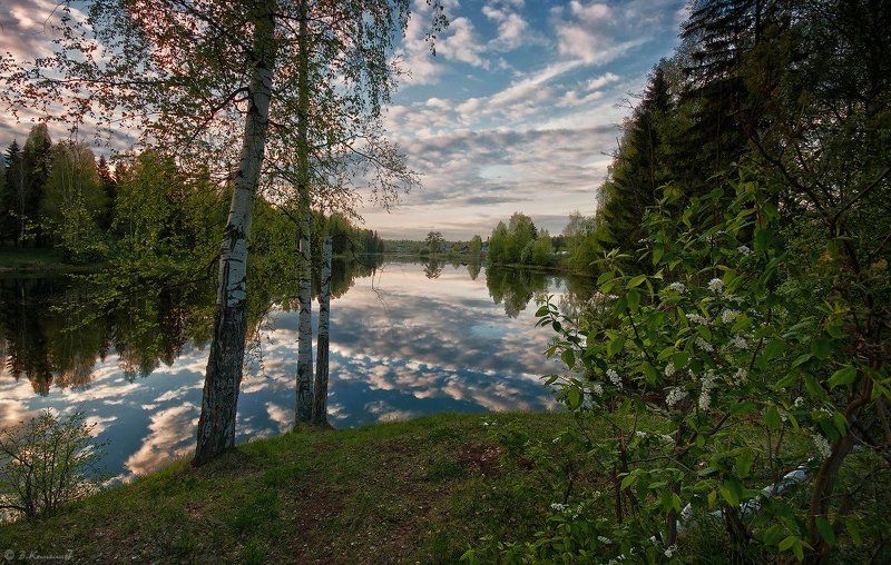 Весна, Вечер, Лес, Природа, Пруд О чём черёмуха берёзе нашептала... фото превью